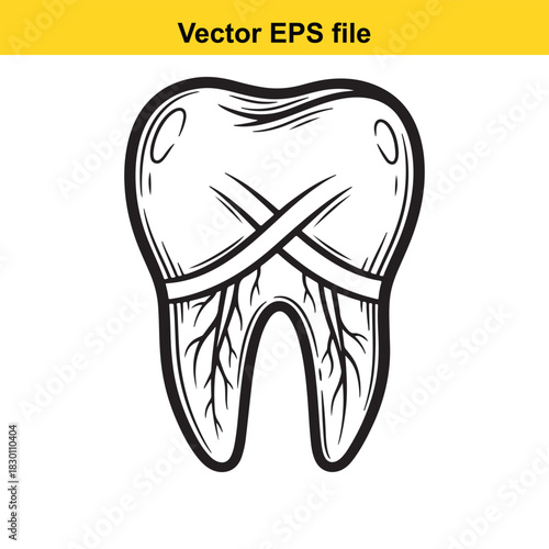Black and white hand drawn illustration of a molar tooth showing roots and nerve structure, isolated on white background