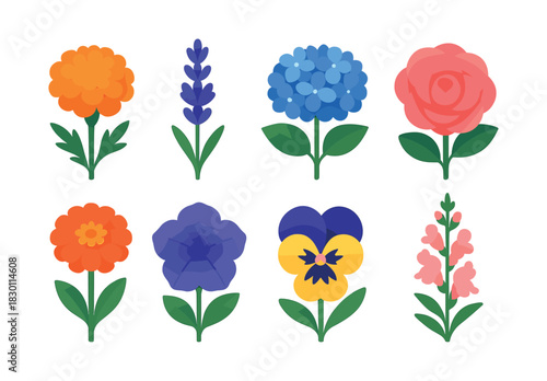 Tropical flower collection, frangipani and anthurium, flat vector illustration