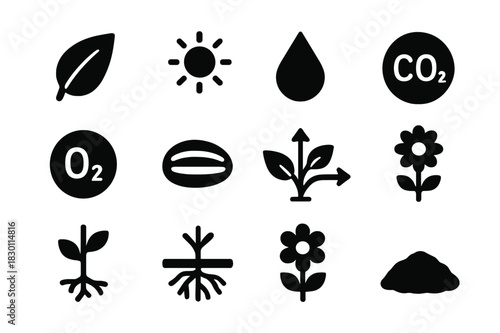 Photosynthesis Icon Set. Leaf photosynthesis. Solid icon set of Leaf photosynthesis: leaf, sun, water droplet, carbon dioxide, oxygen, chloroplast, stem,