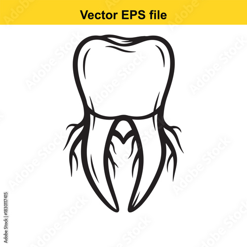 Black and white outline vector illustration of a molar tooth showing roots and pulp cavity, perfect for dental or medical concepts, isolated on white background