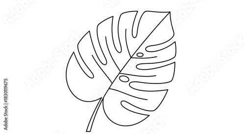 Monstera Deliciosa Leaf Outline Black and White Vector Illustration
