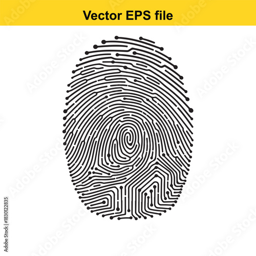 Digital fingerprint icon representing biometric security, identity verification, and advanced technology concept as a vector eps file