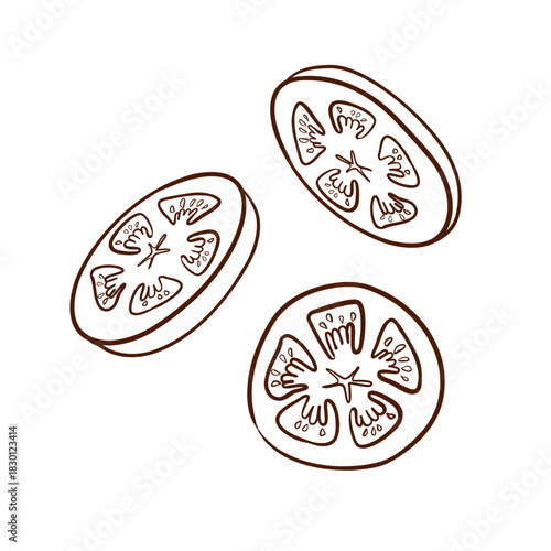 Three round tomato slices. Vector illustration in a line art style. Clean brown lines, defined seeds and flesh structure, isolated on a white background. Suitable for menus, packaging, fast food