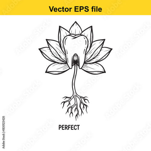 Black and white vector illustration of a human molar tooth growing from a lotus flower with roots, symbolizing dental health and perfection, isolated on white background