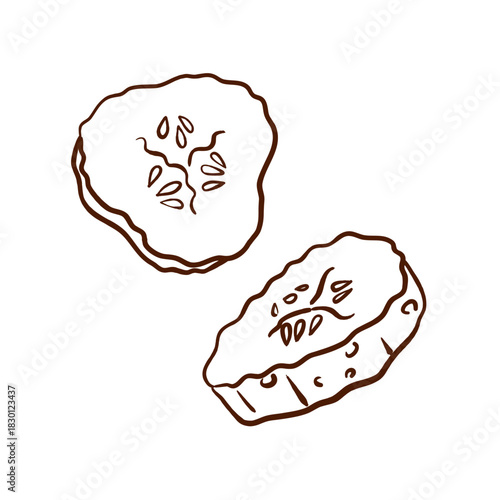Two cucumber slices. Vector illustration in a contour line style. Clean brown lines, defined seeds and peel texture, isolated on a white background. Suitable for menus, packaging, fast food