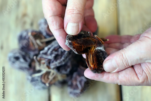 Close-up of hands holding dried persimmons, or hoshigaki.