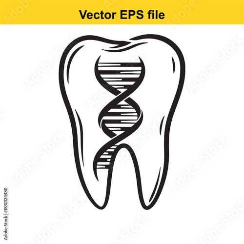 Black and white vector illustration of a human molar tooth containing a stylized dna double helix structure inside, isolated on white background