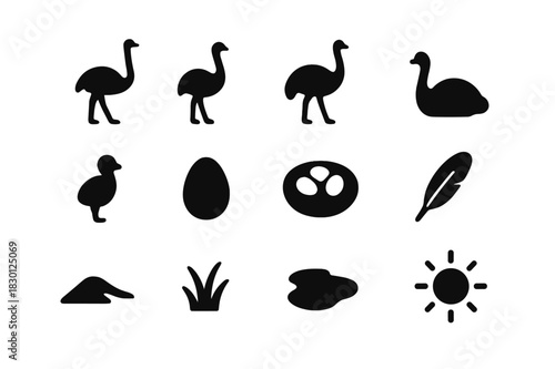 Flightless Bird Icons. Flightless bird. Solid icon set of Flightless bird: ostrich, rhea, emu, adult ostrich, baby ostrich, egg, nest, feather, sand dune,