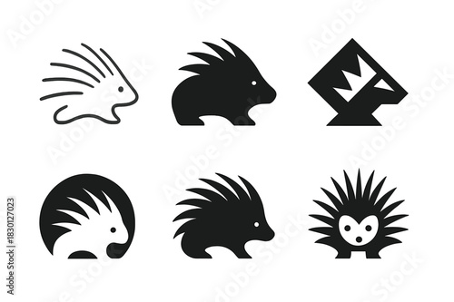 Porcupine Logo Variations. Porcupine. Icon set. Set Logo of porcupine: Stylized porcupine silhouette. harmonious logo variations of the same emblematic