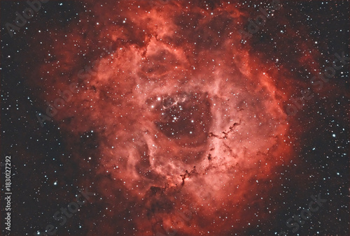 Tableau sur toile The Rosette Nebula (NGC 2237), massive HII region and stellar nursery in Monoceros