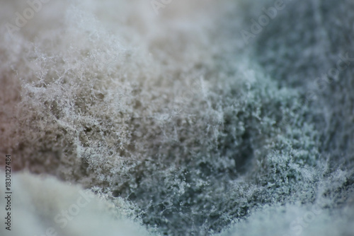 Mold grow on expired yogurt. It has pink, gray, or fuzzy looking patches on top surface of the yogurt