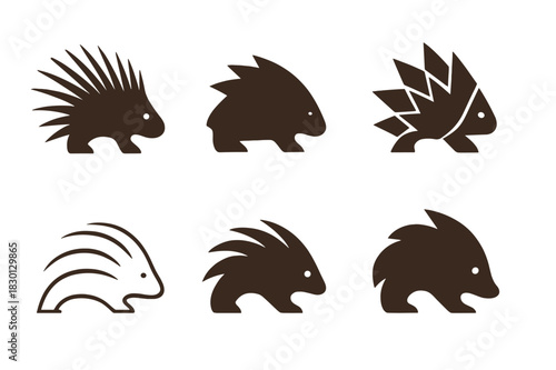 Porcupine Logo Variations. Porcupine. Icon set. Set Logo of porcupine: Simplified porcupine icon. harmonious logo variations of the same emblematic concept,