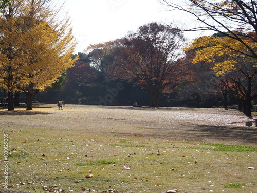 北の丸公園の風景