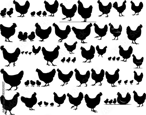 Farm Animal Poultry Bird Chicken Hen Chick Silhouette Black Vector Illustration