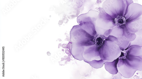Purple flower watercolor painting with soft petals and delicate details, creating calm and elegant floral design on white background