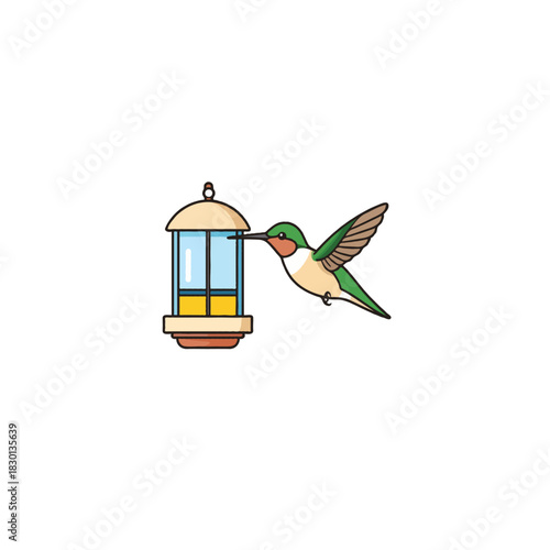 Hummingbird seeks nectar from a lantern-shaped feeder in simplistic, clean illustration perfect