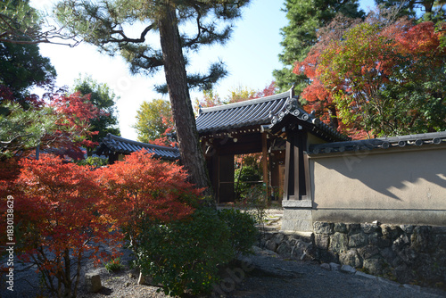 秋の大徳寺　正受院の山門　京都市北区紫野