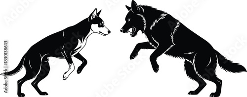 Two Aggressive Canines or Dogs Fighting and Snarling in Attack Stance, Black and White Detailed Vector Silhouette Illustration for CAD Drawing and Flat Design.