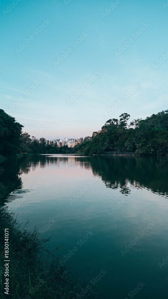Obraz premium Ibirapuera Park in the late afternoon during summer