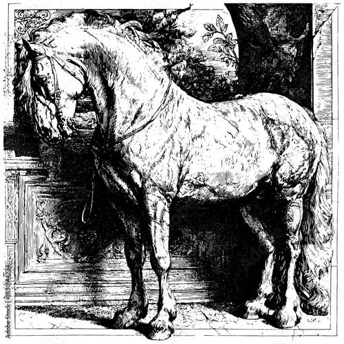 Vintage Engraving Horse Illustration, Classic Detailed Line Art Animal, Rustic Antique Style Equine Clipart