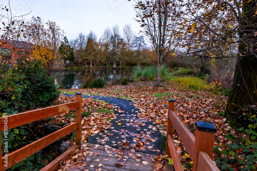 View from a wooden bridge onto a pond in a park in autumn