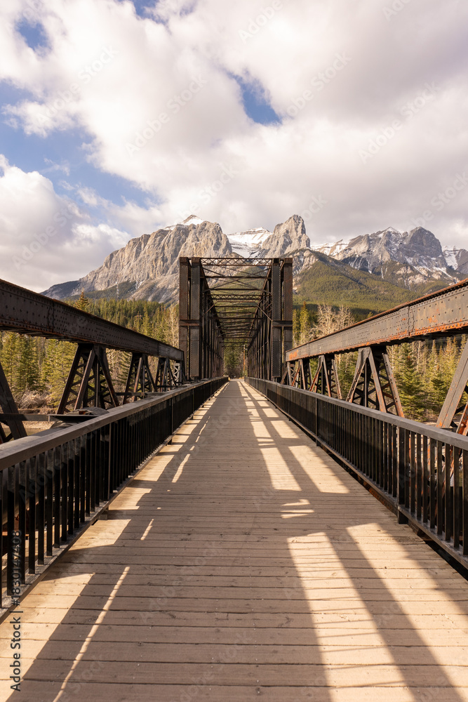 Obraz premium bridge over the river