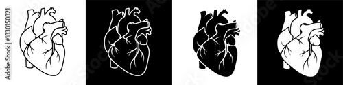 Anatomical human heart vector icons in diverse contrasting black and white graphic styles. Featuring positive and inverse negative space designs for medical and scientific visuals