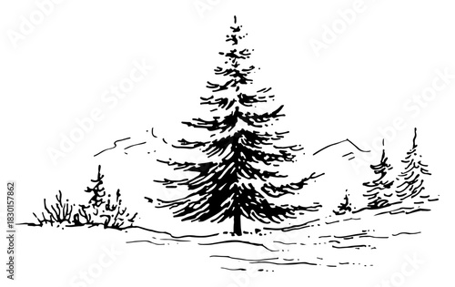 Hand drawn pine tree forest in winter landscape with snowy mountains Vector sketch illustration of wilderness nature and fir woods