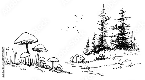 Hand drawn forest landscape with wild mushrooms and pine trees Vector sketch illustration of nature woods and fungus