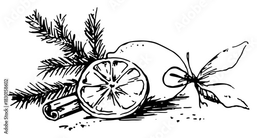 Hand drawn dried orange slices with cinnamon stick and pine branch Vector sketch illustration of Christmas spices and winter citrus fruit decoration