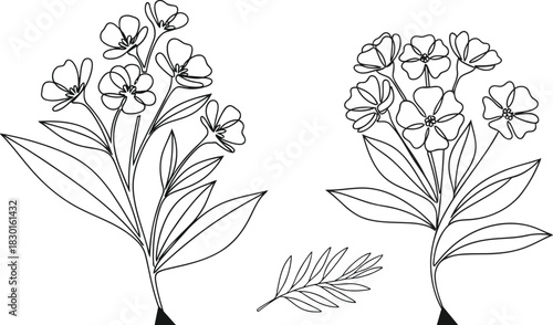 A vibrant and versatile vector design featuring a rich palette of cmyk grayscale and specific colors like red green blue yellow cyan magenta and pink suitable for diverse graphic applications and prin