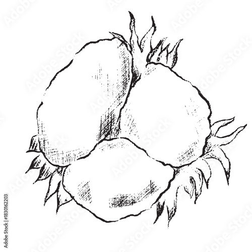 winter foliage esp - cotton