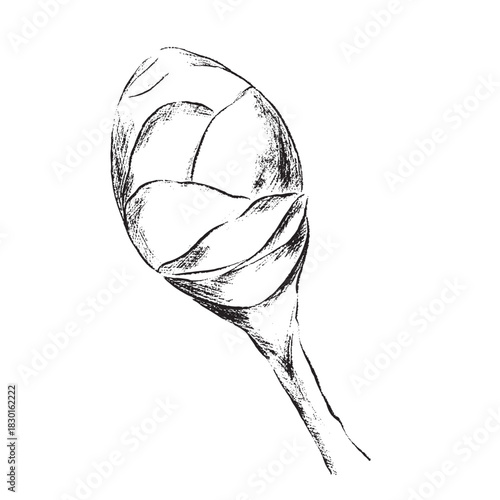 winter foliage esp - 