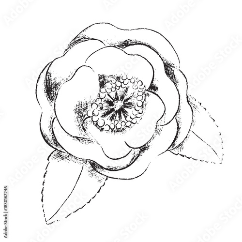 winter foliage esp - camellia flower