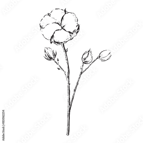 winter foliage esp - cotton