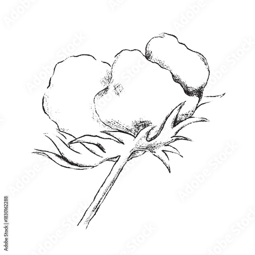 winter foliage esp - cotton