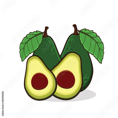 Avocado. avocado cartoon. avocado vector