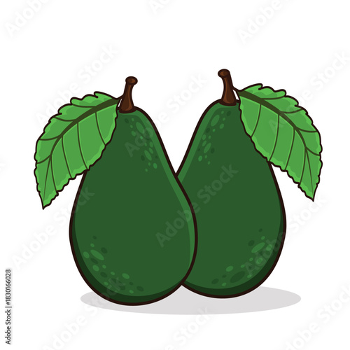 Avocado. avocado cartoon. avocado vector