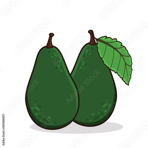 Avocado. avocado cartoon. avocado vector