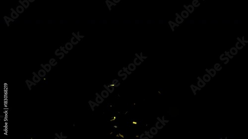 Gold Glitter Explosion Central Vertical Celebration