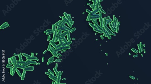 Bacterial Cell Division Microorganisms multiplying 3D animation for microbiological research, antibiotic resistance awareness, and health science education