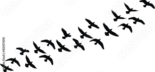 Bird silhouette vector, flying flock formation, black birds in motion, nature flight pattern, wildlife movement, white background, peaceful sky conceptBird silhouette vector, flying flock formation, 