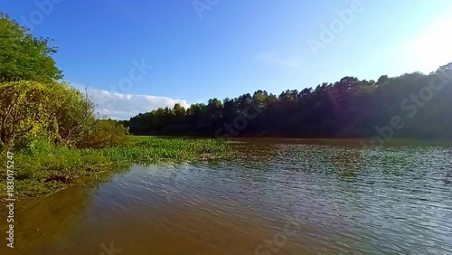 A gentle bank of a beautiful river with bushes and reeds along the water's edge on a sunny summer evening.