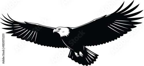 American bald eagle vector illustration, flying bird of prey with spread wings, black and white mascot design, isolated on white background.