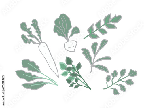 Illustration of the seven herbs of spring