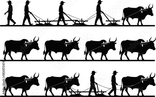 “Set of farmer and ox plowing silhouettes, traditional agriculture scenes, rural farming workflow illustrations showing manual field cultivation, livestock-driven plow equipment in vector design”