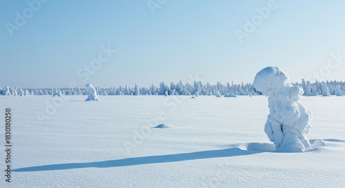 A beautiful, cold landscape covered in fresh, glistening snow under a pale blue sky, evoking quiet seasonal tranquility and crispness ,white ,nature ,landscape