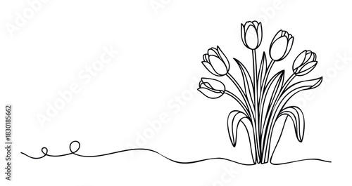 Delicate continuous line drawing of a bouquet of blooming tulips with flowing green stems and leaves, perfect for spring or floral themed projects and decorations