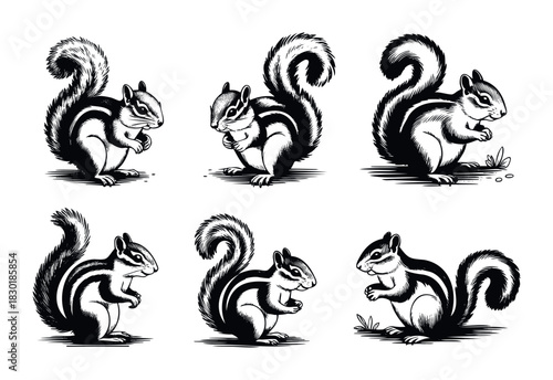 Six black and white woodcut style chipmunks shown in various poses, perfect for wildlife or nature themed graphic projects and animal themed logos.