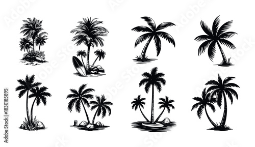 Collection of silhouette palm trees with tropical beach elements like surfboards and rocks for vacation and summer themes
